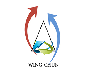 wing chun total